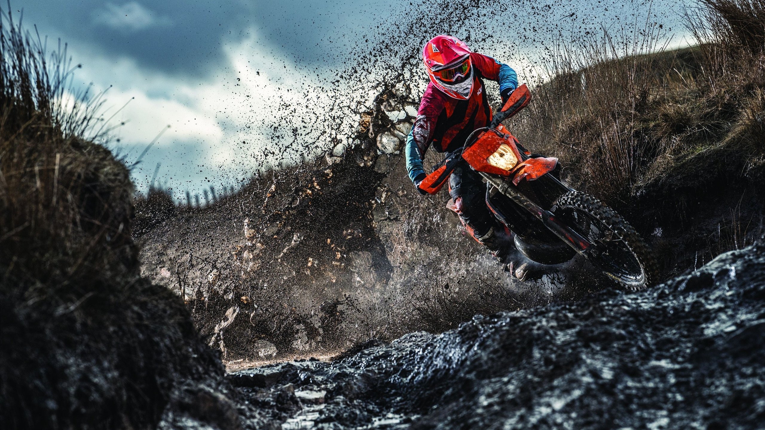 九游官网入口注册-女子100自澳洲选手包揽前二，澳洲籍女子